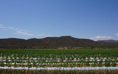 Agriculture Update