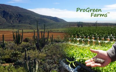ProGreen Farms – Operations at Arenoso