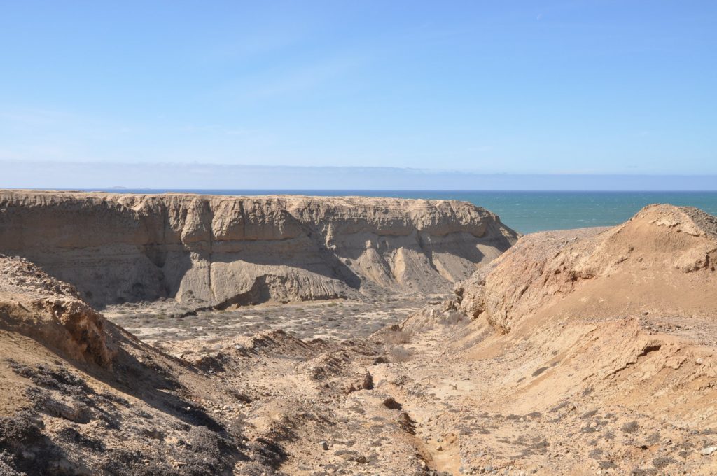 08_DSC_0130med