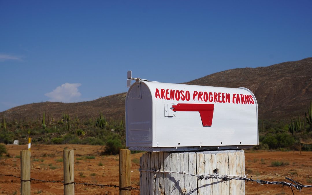 ProGreenUS-Contel Showcases Successful Farming Operation at ProGreen Farms™ Arenoso, With First Harvest Underway