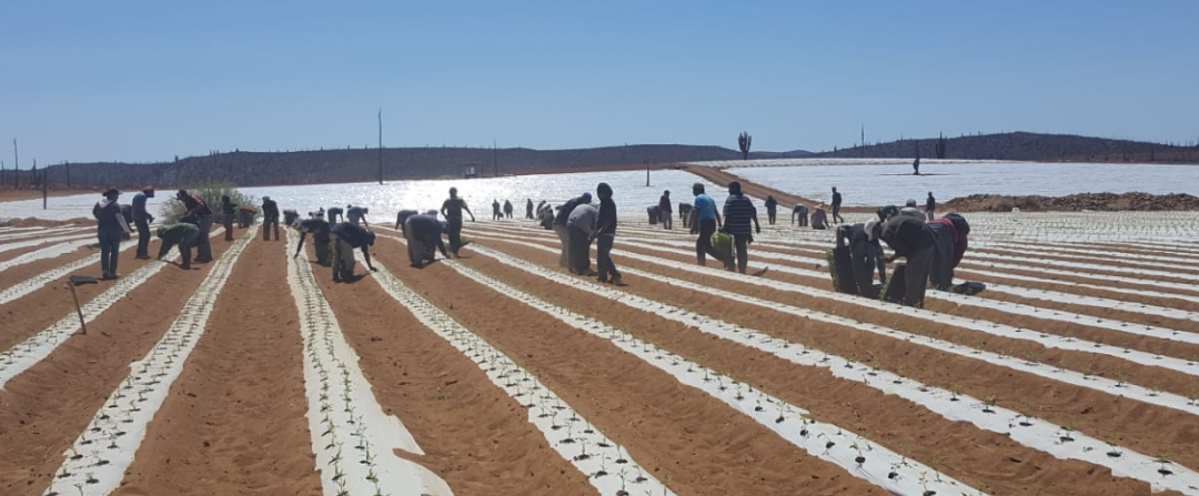 May 16, 2018 – Arenoso