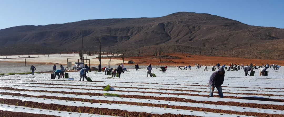 June 2, 2018 – Arenoso (photos & video)