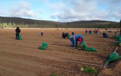 May 22, 2019 – Arenoso